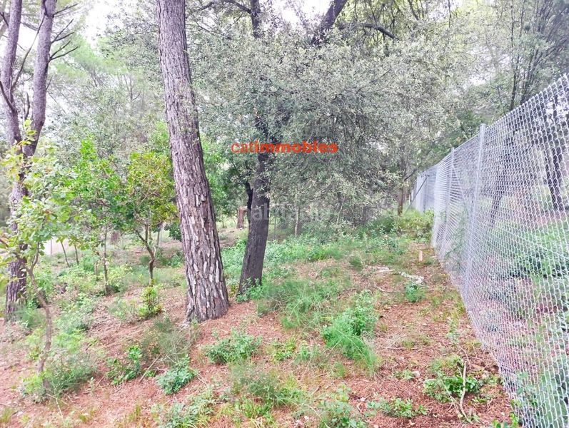 Foto 7bbf7eba-a7ea-4559-9112-963b26c48d71. Terreno residenziale in La Floresta Sant Cugat del Vallès
