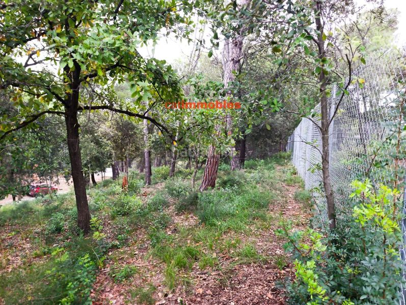 Foto de6b2c5e-05e7-427f-9731-540d615d67a2. Terreno residenziale in La Floresta Sant Cugat del Vallès