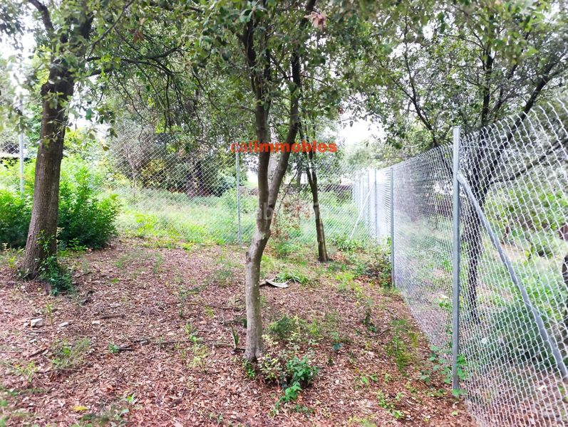 Foto 1b86b074-4c8e-4658-a163-492475cc4385. Terreno residenziale in La Floresta Sant Cugat del Vallès
