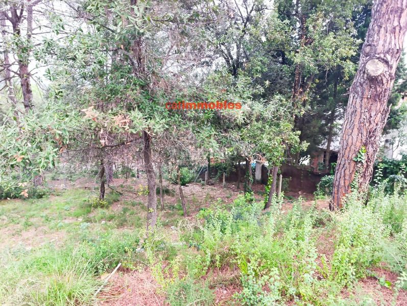 Foto 1ee611d3-54c1-441f-a4aa-affa1e1ab548. Terreno residenziale in La Floresta Sant Cugat del Vallès
