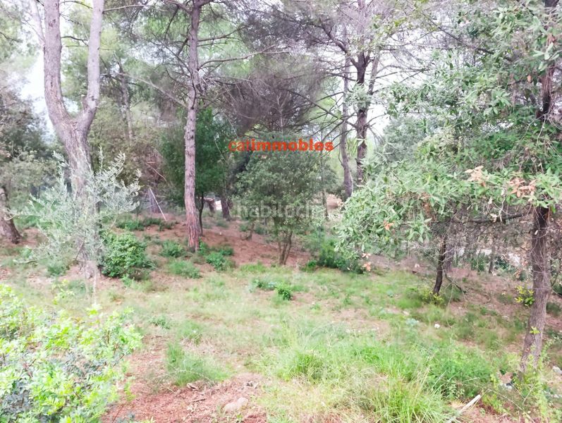 Foto ddef9b78-23d2-42b6-b465-32a8db097c91. Terreno residenziale in La Floresta Sant Cugat del Vallès