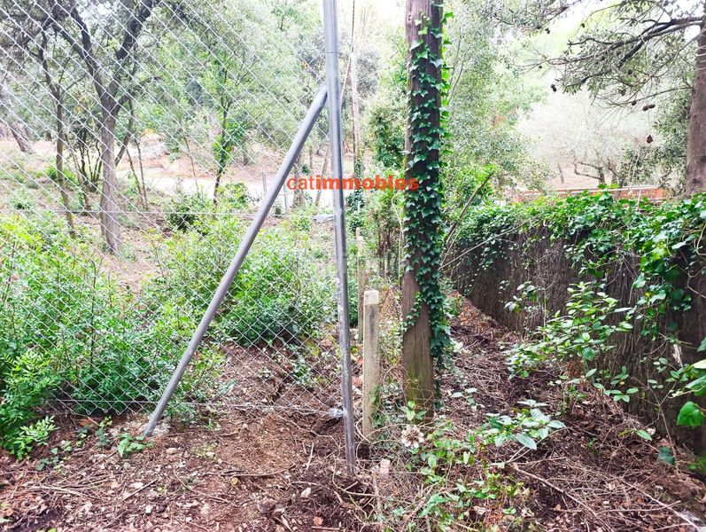 Foto ef46fd1a-4ff9-4234-a826-df2147deb0bc. Terreno residenziale in La Floresta Sant Cugat del Vallès