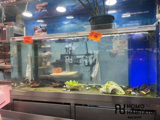 Traspaso Local Comercial  Plaza mercat. Venta de negocio en mercado centro, sabadell