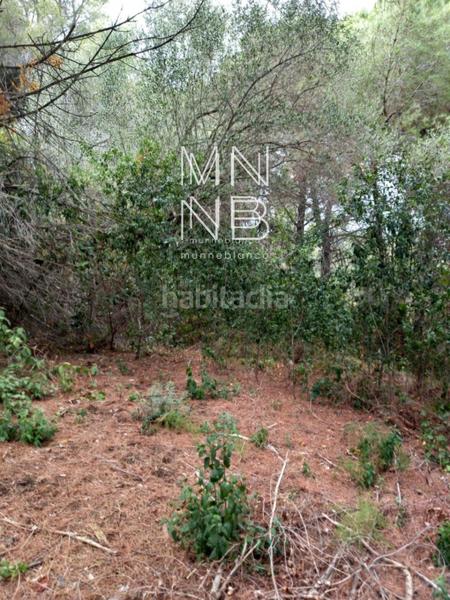 Foto 350add54-5cac-4291-a867-a523fc2acdd3. Landgut in Rocaferrera Sant Andreu de Llavaneres