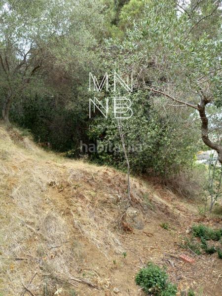 Foto 5984063b-9017-4753-abe7-4f6d1158c97b. Landgut in Rocaferrera Sant Andreu de Llavaneres