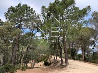 Finca rústica a D'arenys a sant celoni. Gran terreno de 7 hectáreas