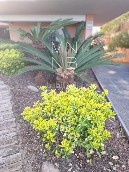 Foto 08a3d3d2-02d8-450c-87f7-83a318120fe5. Rent flat with heating parking pool in Can Sans Sant Andreu de Llavaneres