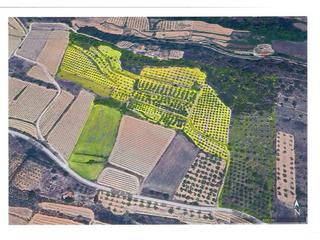 Rural plot  De pira. Venda terreny agrícola amb petita masia a barberà de la conca
