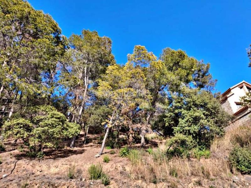 Foto ba737c1b-280c-4163-8440-fa12a564921c. Finca rústica a Sentmenat