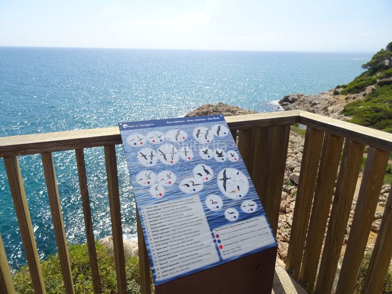 Foto 7488b697-f001-466b-932c-22be8499d7a8. Apartamento en carretera del far 56 confort 365d + la mejor piscina en Salou