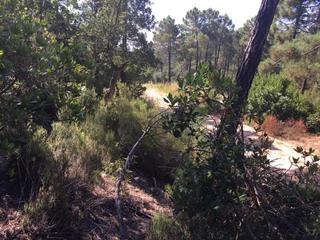 Terreno residencial en Lloret Residencial - Montlloret. Oportunidad! gran terreno a 15 minutos del centro de lloret de m