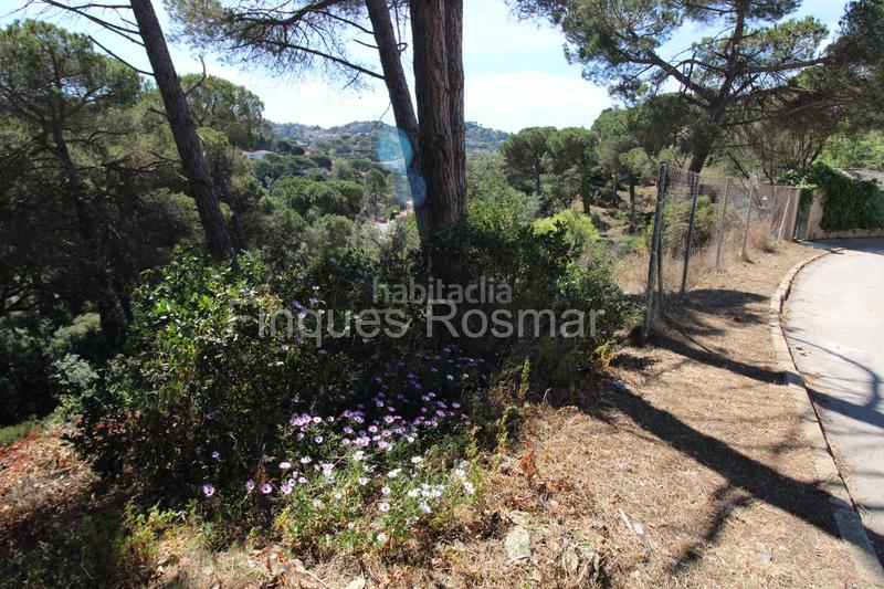 Foto 3bad1508-4fc1-4887-a037-c03175aed60b. Terreny residencial a Aiguaviva Parc Vidreres