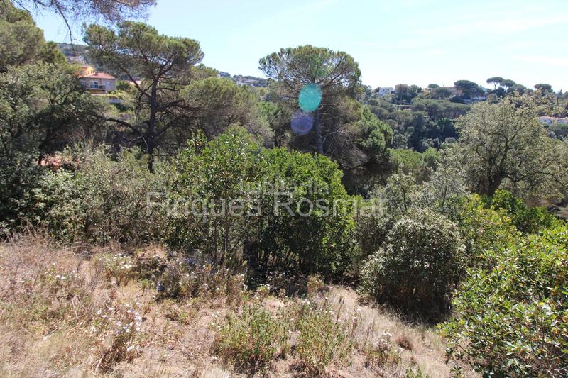 Foto 71a6bf08-5fb3-469c-9a7b-8027fce6cb4d. Terreny residencial a Aiguaviva Parc Vidreres