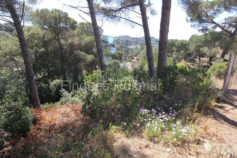 Foto 90f4bed0-05c2-4298-a160-87de81eee663. Terreny residencial a Aiguaviva Parc Vidreres