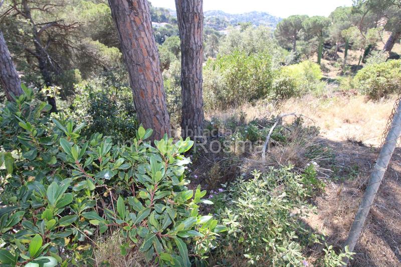 Foto 9febb2d7-98ab-47ba-9cdf-983981d83905. Terreny residencial a Aiguaviva Parc Vidreres