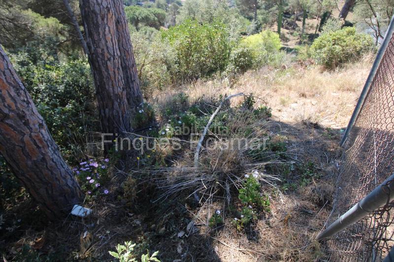 Foto d8062ac1-db7a-4f48-8cec-fc5907179dac. Terreny residencial a Aiguaviva Parc Vidreres