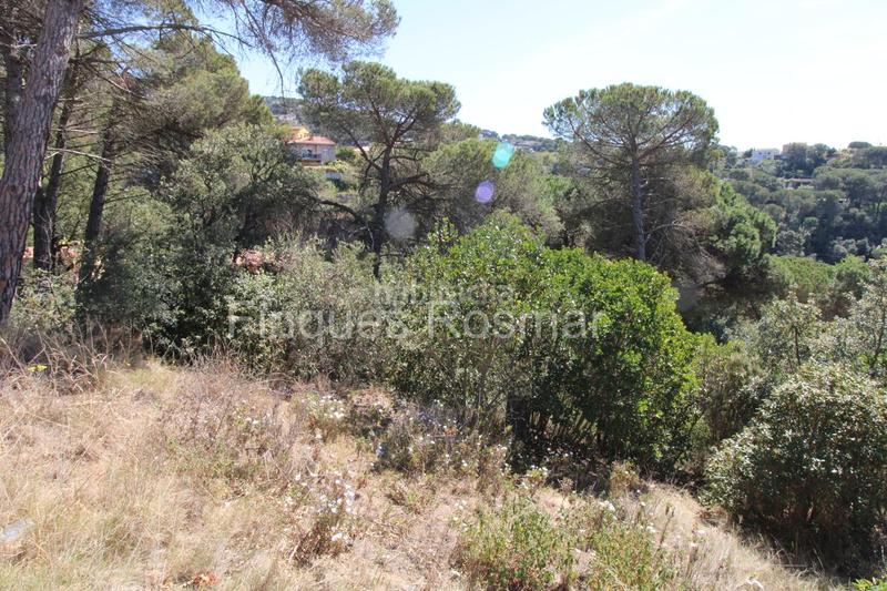 Foto fc520a81-ba95-4477-8007-c61a4552bf99. Terreny residencial a Aiguaviva Parc Vidreres