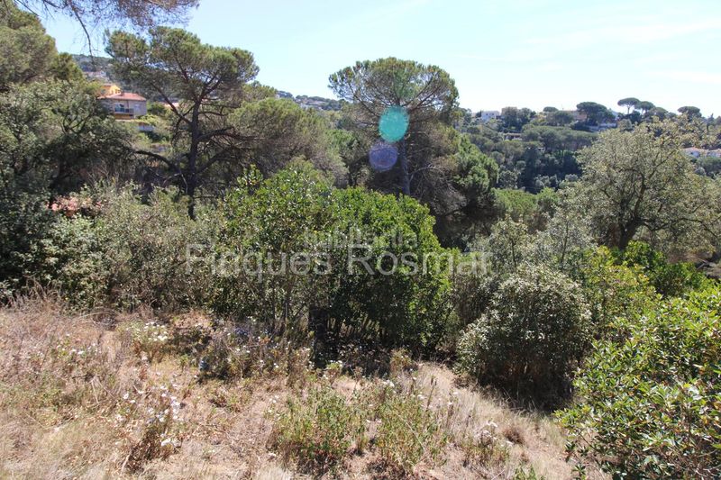 Foto 71a6bf08-5fb3-469c-9a7b-8027fce6cb4d. Terreny residencial a Aiguaviva Parc Vidreres