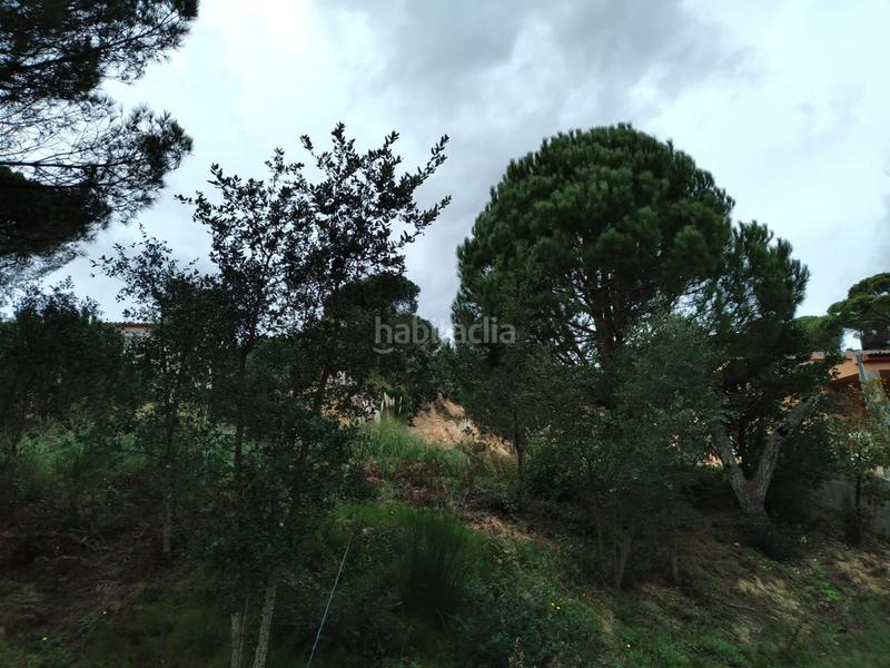 Foto 95b0eda3-9e73-4d9e-8855-19545c206c08. Terrain résidentiel dans Lloret Residencial - Montlloret Lloret de Mar