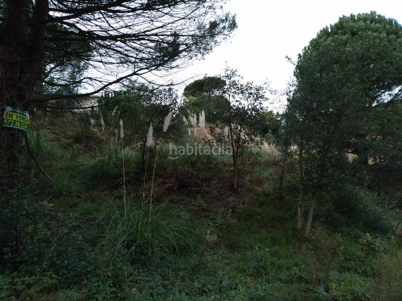 Foto 9c329aa9-6532-4253-88ca-d9e4ac5eb2e6. Terrain résidentiel dans Lloret Residencial - Montlloret Lloret de Mar