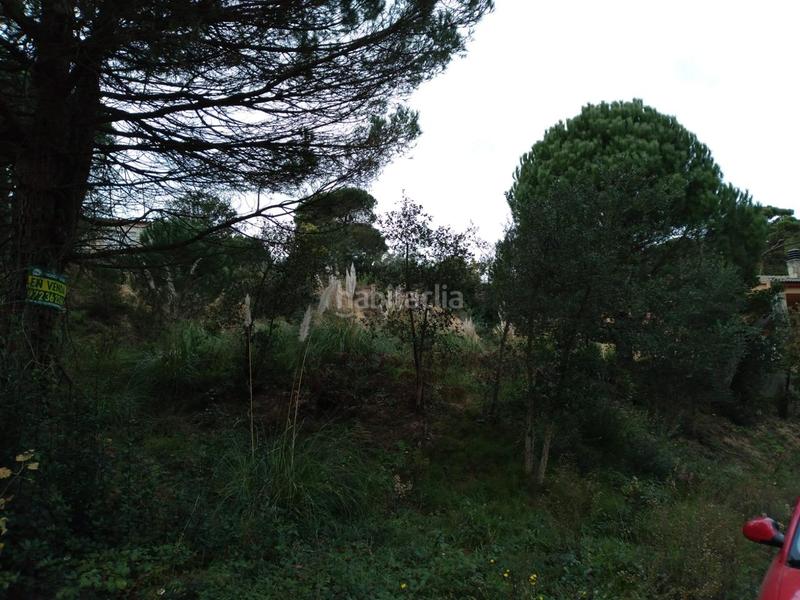 Foto b4653270-5959-4f96-9fb4-d21c8f8d7e68. Terrain résidentiel dans Lloret Residencial - Montlloret Lloret de Mar