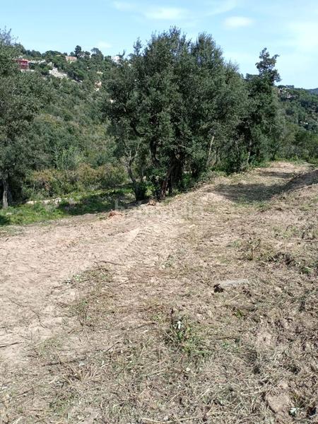 Foto 4b566ad3-f76d-4f49-bb79-531cdda46160. Terreno residenziale in Lloret Residencial - Montlloret Lloret de Mar