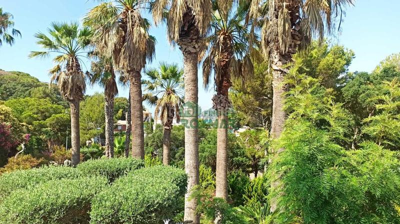 Foto 0a028a6f-7339-4738-b93d-b81b21332cda. Haus mit pool in Fenals Lloret de Mar