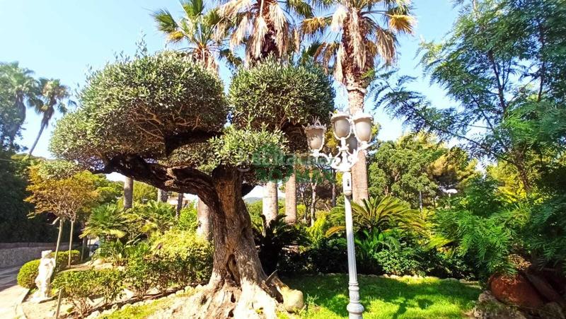 Foto d7080023-59ba-4362-aed7-d580827696c0. Haus mit pool in Fenals Lloret de Mar