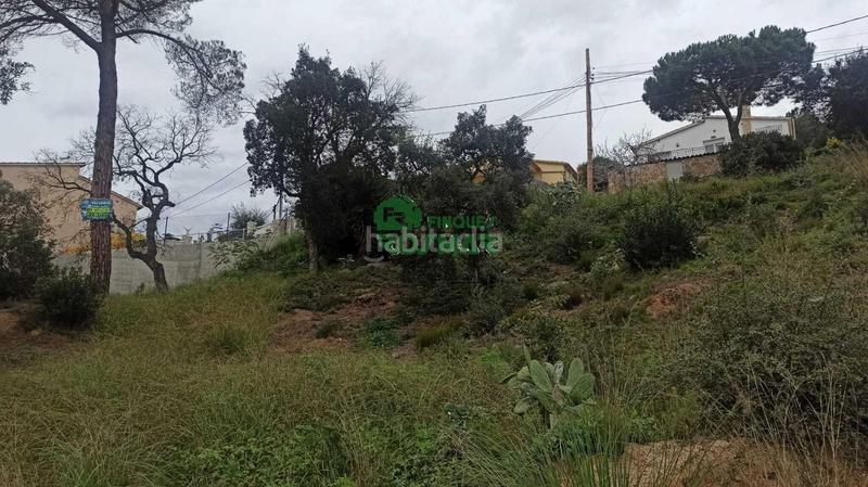 Foto c6d31934-857c-4fde-b304-e3a229faf53a. Terrain résidentiel dans Aiguaviva Parc Vidreres