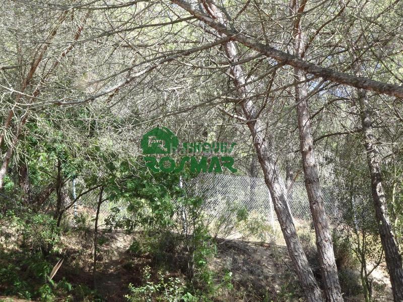 Foto 10d9c700-23d4-4d8e-90e9-da65c74f4ca0. Finca rústica terreno rústico en can ribalaigua, en Lloret de Mar