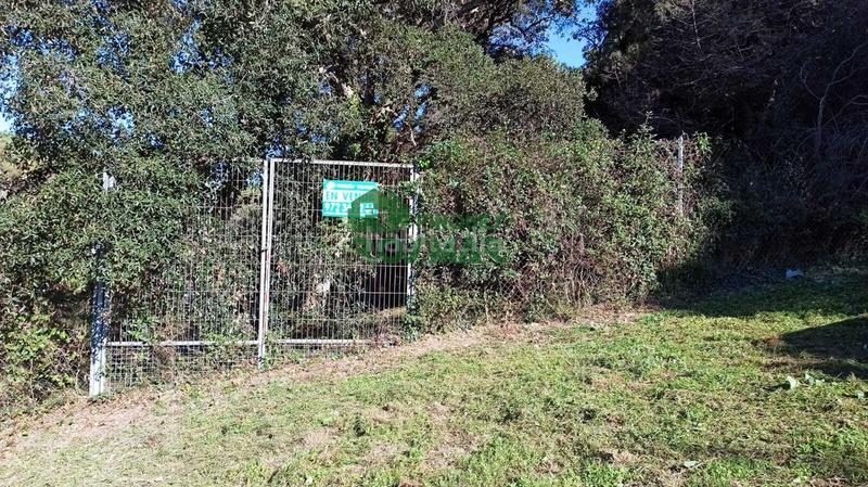 Foto 63c17e57-a3c9-4fa5-b785-210d330d2da5. Finca rústica terreno rústico en can ribalaigua, en Lloret de Mar