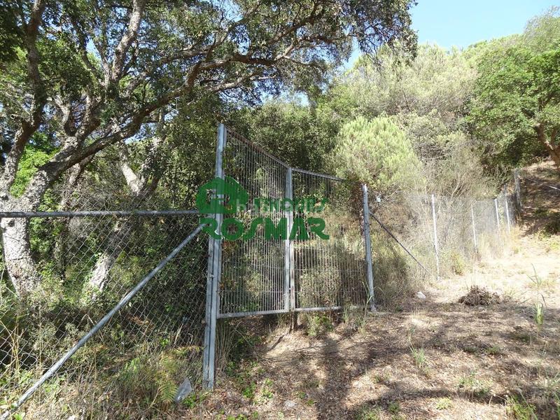 Foto 6773292c-c717-4241-8e8e-bef30fa9adb9. Finca rústica terreno rústico en can ribalaigua, en Lloret de Mar