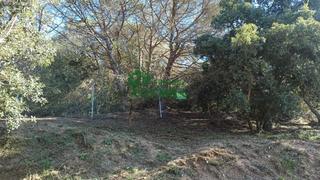 Terreny residencial a El Molí-El Rieral. Terreno rústico en can ribalaigua, lloret de mar
