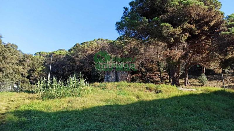 Foto b714e2bd-a3ef-40b0-84fd-6e71ccd20db3. Finca rústica terreno rústico en can ribalaigua, en Lloret de Mar