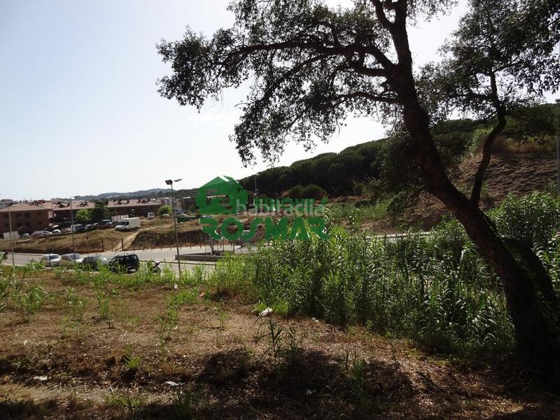 Foto dff73c41-efdb-451d-ac72-3035da691c5e. Finca rústica terreno rústico en can ribalaigua, en Lloret de Mar