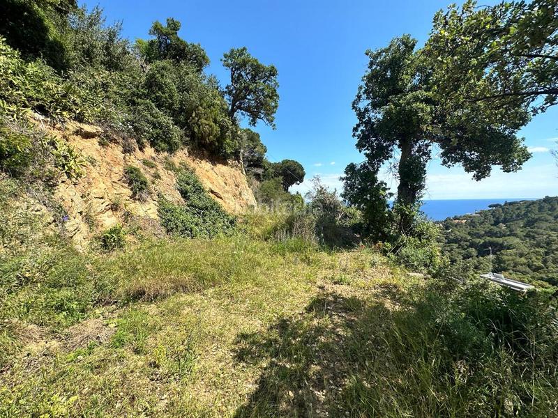 Foto 2a44a3c4-7a4d-41ed-87f9-2a551e37addd. Wohngrundstück in Santa Maria de Llorell Tossa de Mar