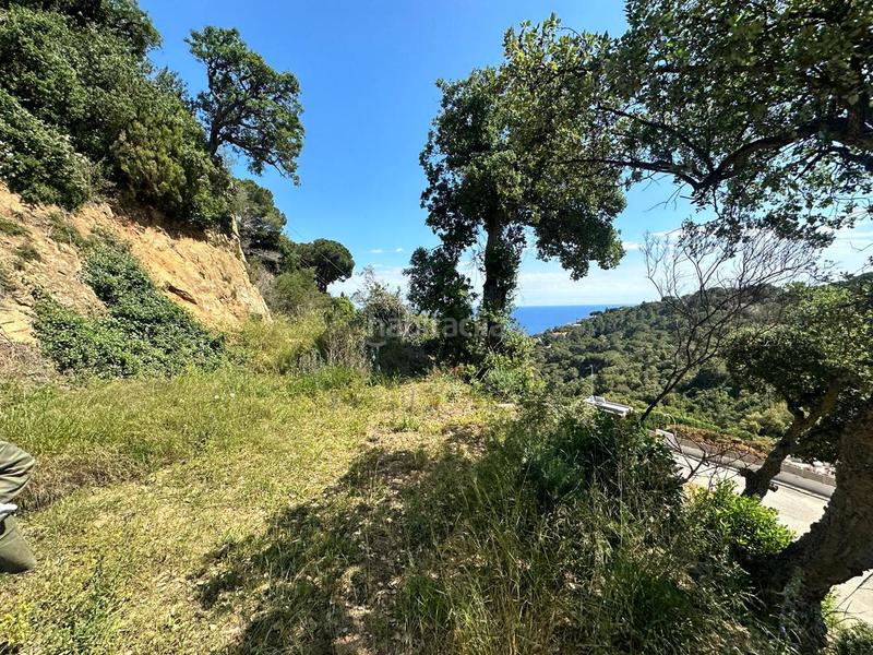 Foto 6987af03-fffa-4d6c-a586-03254852ddda. Wohngrundstück in Santa Maria de Llorell Tossa de Mar