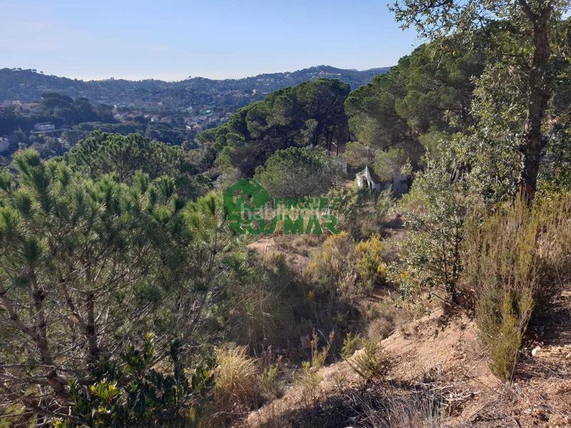 Foto 6a39b13b-c734-435b-8368-4e74a69f8597. Terreno residenziale in Aiguaviva Parc Vidreres