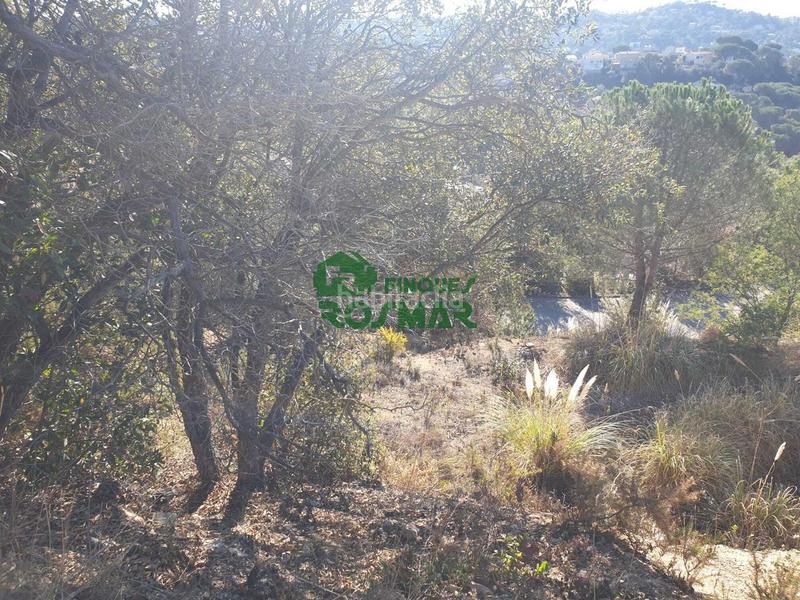 Foto aff7f84a-6cfd-4a57-9128-263efc66bbeb. Terreno residenziale in Aiguaviva Parc Vidreres