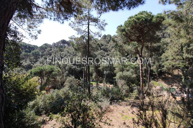 Foto 72d42712-adb3-422b-9793-01f19ad55e1b. House in Serra Brava Lloret de Mar