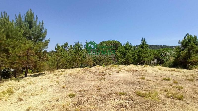 Foto 27120ee5-3842-4400-8ce2-eb2484a4e6e1. Terreno residenziale in Lloret Residencial - Montlloret Lloret de Mar