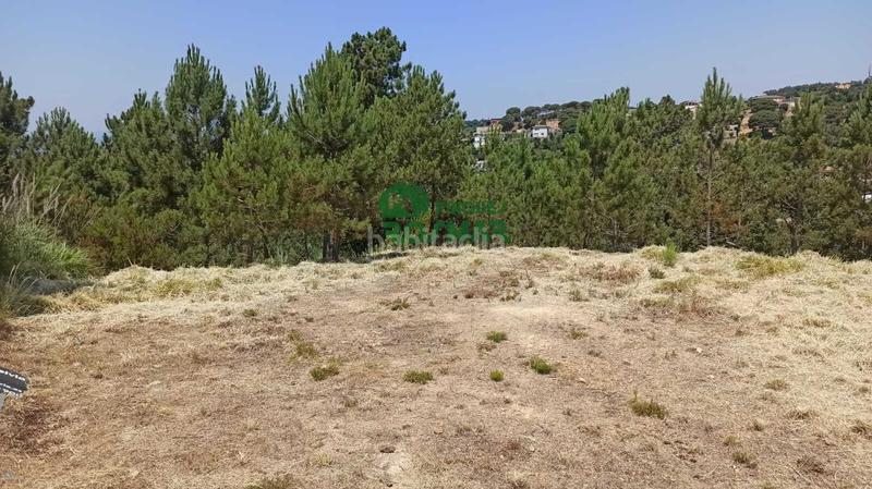 Foto f4aca517-4fa5-4945-8b37-b368cc40f553. Terreno residenziale in Lloret Residencial - Montlloret Lloret de Mar