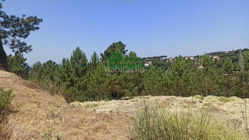 Foto f7c11ed6-a879-4b1f-8921-9ecd2be35f00. Terreno residenziale in Lloret Residencial - Montlloret Lloret de Mar