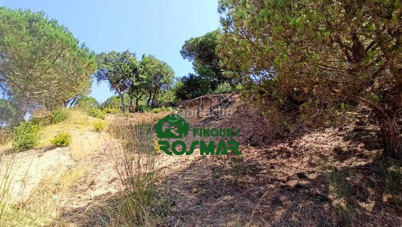 Foto 1bd757ea-b113-4624-bb95-b04357ea0691. Terreny residencial a Aiguaviva Parc Vidreres