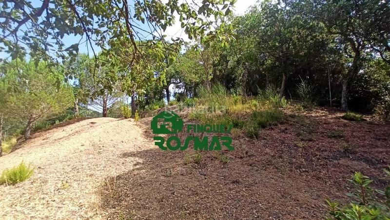 Foto 2799d4b8-483c-4b94-9872-6aa055da433a. Terreny residencial a Aiguaviva Parc Vidreres