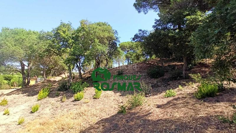 Foto 31bd53f4-acc6-4dbf-ab28-98af1ed683c9. Terreny residencial a Aiguaviva Parc Vidreres