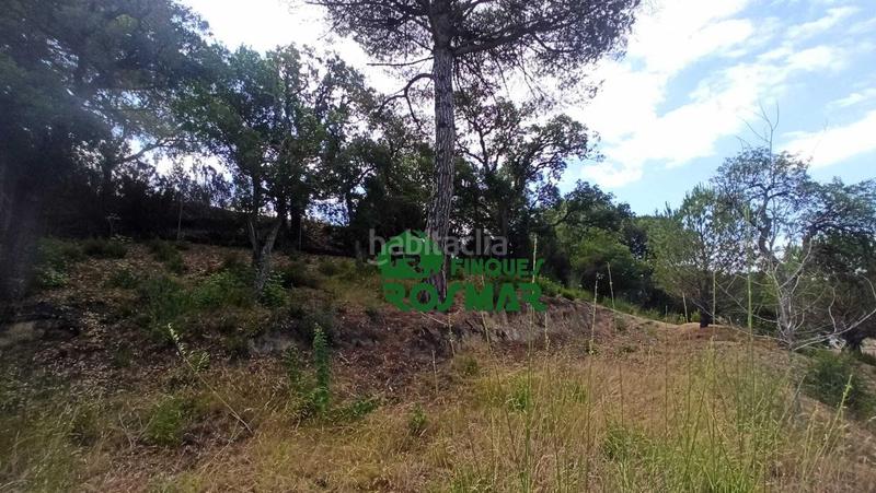 Foto 9cc9e027-b805-422c-a006-145669dd9741. Terreny residencial a Aiguaviva Parc Vidreres