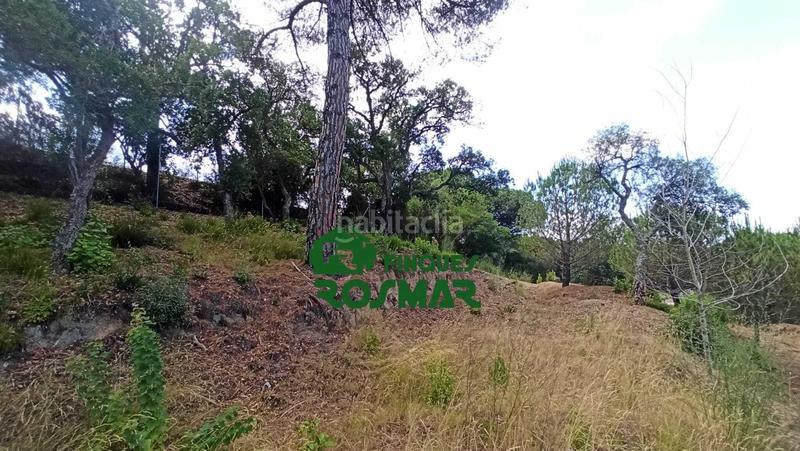 Foto b0a2a001-1d0e-4b73-a71e-56a6394267d7. Terreny residencial a Aiguaviva Parc Vidreres
