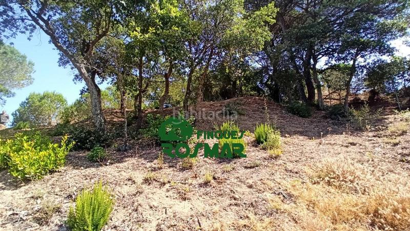 Foto e014c8b4-00ef-453a-940f-f2b50b605dd8. Terreny residencial a Aiguaviva Parc Vidreres