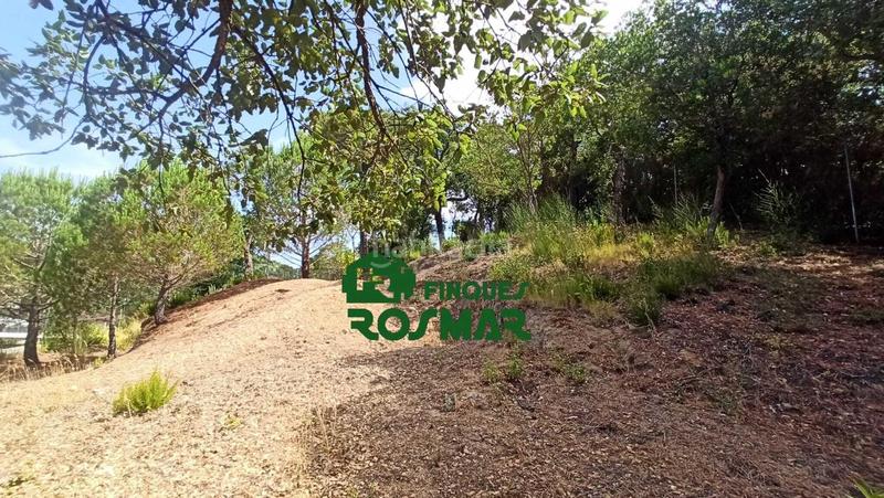 Foto eddbd2c4-d9ed-4b56-8f9f-cd78f77c1083. Terreny residencial a Aiguaviva Parc Vidreres